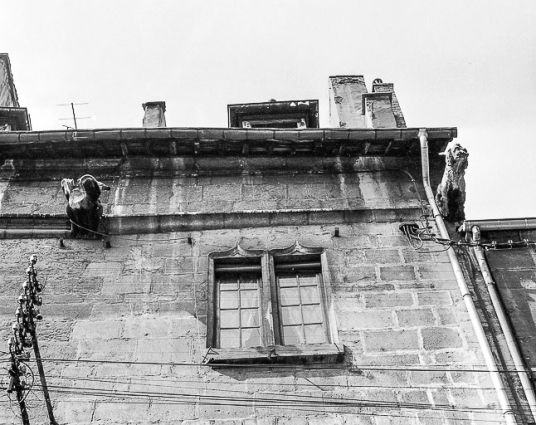 Vue des deux gargouilles droites. © Région Bourgogne-Franche-Comté, Inventaire du patrimoine