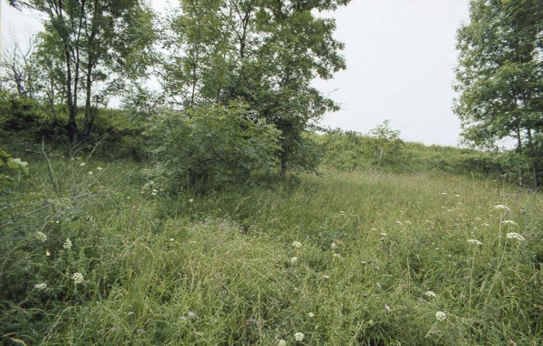 Alvéoles d'artillerie sur les dessus du fort. © Région Bourgogne-Franche-Comté, Inventaire du patrimoine