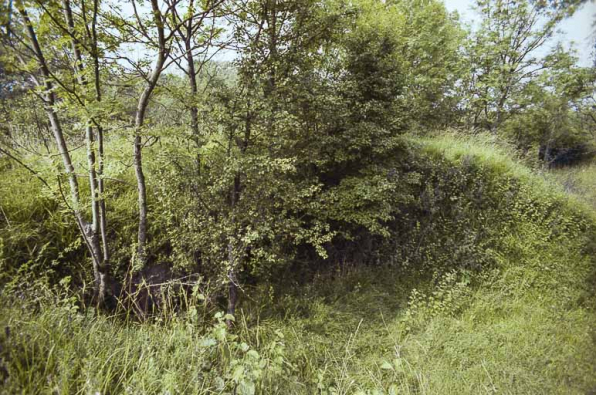 Vue d'ensemble d'alvéoles d'artillerie sur les dessus du fort. © Région Bourgogne-Franche-Comté, Inventaire du patrimoine