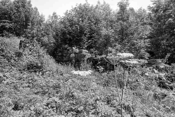 Vue des ruines. © Région Bourgogne-Franche-Comté, Inventaire du patrimoine