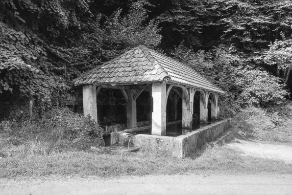 Le lavoir après dégradations. © Région Bourgogne-Franche-Comté, Inventaire du patrimoine
