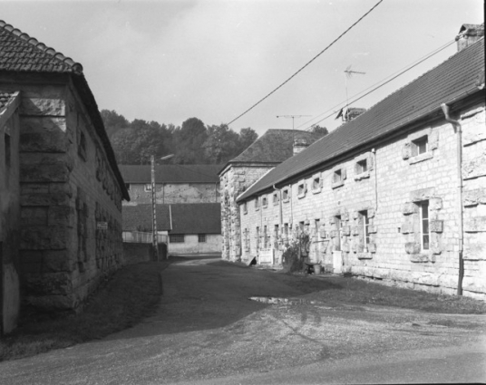 Site du haut fourneau : vue des logements ouvriers à l'entrée de l'usine. © Région Bourgogne-Franche-Comté, Inventaire du patrimoine Site du haut fourneau : vue des logements ouvriers à l'entrée de l'usine. © Région Bourgogne-Franche-Comté, Inventaire du patrimoine