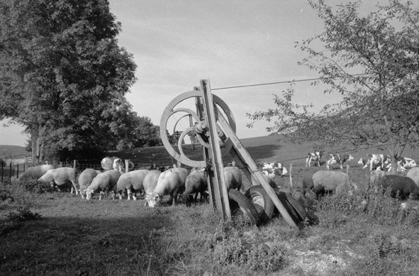 Téléphérique pour le transport des bidons de lait. © Région Bourgogne-Franche-Comté, Inventaire du patrimoine