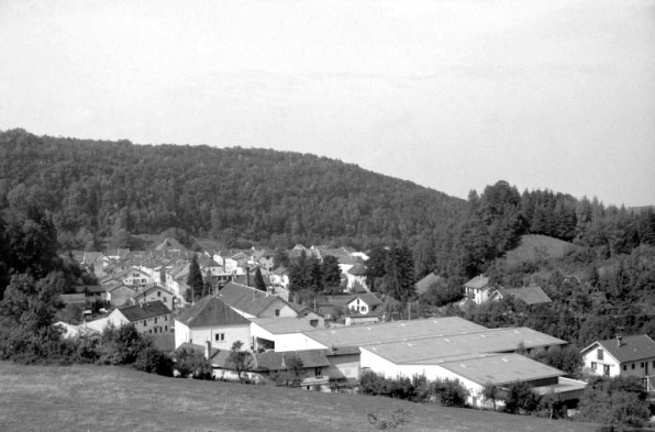 Vue d'ensemble depuis l'est. © Région Bourgogne-Franche-Comté, Inventaire du patrimoine