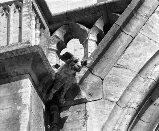 Porche : détail d'une gargouille. © Région Bourgogne-Franche-Comté, Inventaire du patrimoine