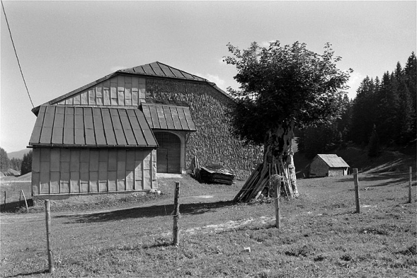 Face sud-ouest d'une ferme et son grenier fort. © Région Bourgogne-Franche-Comté, Inventaire du patrimoine