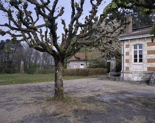 Partie nord : marronnier d'Inde près du pavillon de la méridienne. © Région Bourgogne-Franche-Comté, Inventaire du patrimoine