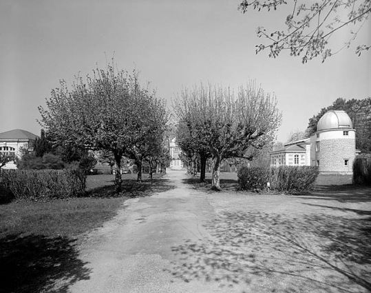 Partie nord : vue d'ensemble de l'allée centrale, depuis l'entrée au sud. Allée de tilleuls de Hollande. © Région Bourgogne-Franche-Comté, Inventaire du patrimoine