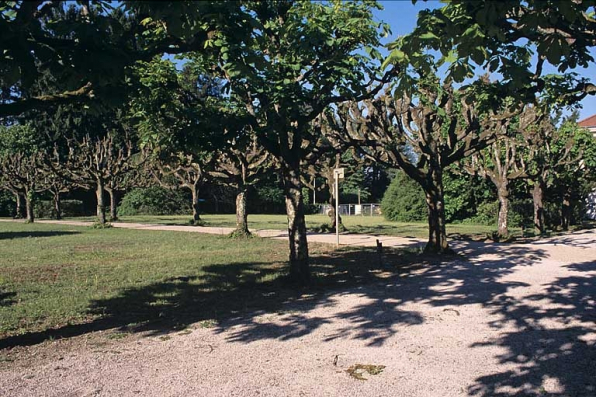 Partie nord : haies de marronniers d'Inde et de tilleuls de Hollande. © Région Bourgogne-Franche-Comté, Inventaire du patrimoine