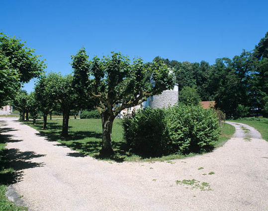 Partie nord : départ de l'allée centrale, depuis l'entrée au sud. Allée encadrée de tilleuls de Hollande. © Région Bourgogne-Franche-Comté, Inventaire du patrimoine