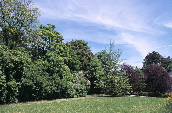 Partie sud : haie joignant la maison du directeur au bâtiment des bureaux. © Région Bourgogne-Franche-Comté, Inventaire du patrimoine