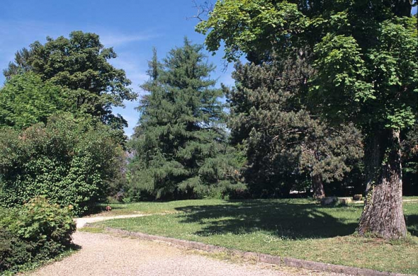 Partie sud : groupe des mélèzes d'Europe et pin noir d'Autriche, près du cadran solaire. © Région Bourgogne-Franche-Comté, Inventaire du patrimoine