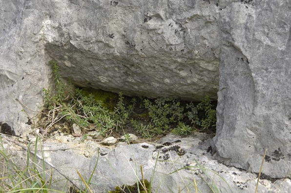 Emboîture. Les emboîtures permettent de désolidariser, avec des coins, la surface inférieure du bloc de la masse. © Région Bourgogne-Franche-Comté, Inventaire du patrimoine