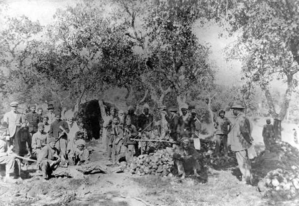 La pesée des racines de bruyère (Algérie), début 20e siècle. © Région Bourgogne-Franche-Comté, Inventaire du patrimoine