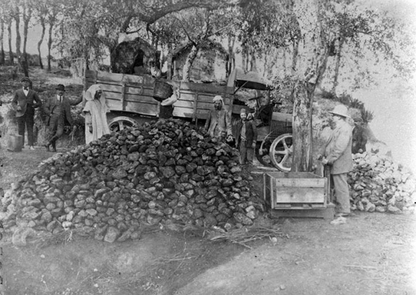 Pesée et chargement des racines de bruyère (Algérie), début 20e siècle. © Région Bourgogne-Franche-Comté, Inventaire du patrimoine