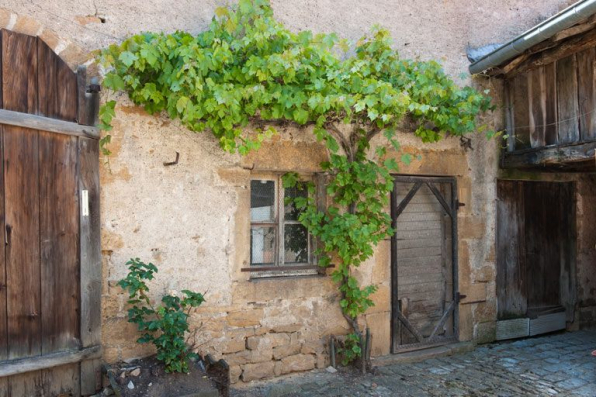 Les parties agricoles : la grange, l'étable et la remise. © Région Bourgogne-Franche-Comté, Inventaire du patrimoine