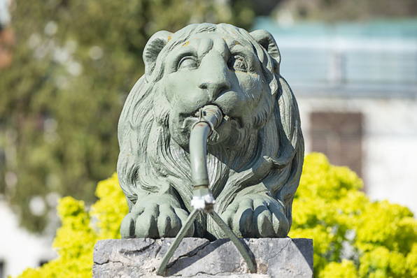 Le lion, vue de face. © Région Bourgogne-Franche-Comté, Inventaire du patrimoine