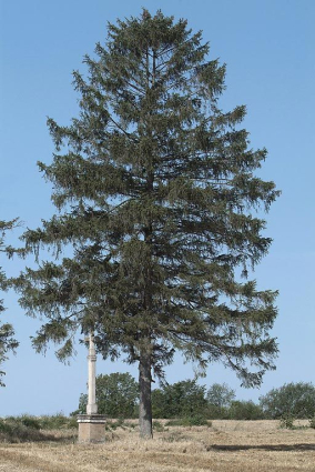 Vue d'ensemble. © Région Bourgogne-Franche-Comté, Inventaire du patrimoine