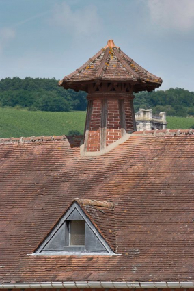 Bâtiment à droite de l'entrée de la cour : détail de la 2e souche de cheminée de ventilation. © Région Bourgogne-Franche-Comté, Inventaire du patrimoine