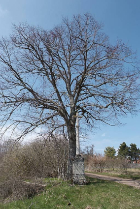 Site. © Région Bourgogne-Franche-Comté, Inventaire du patrimoine