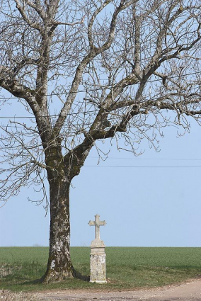 Vue d'ensemble. © Région Bourgogne-Franche-Comté, Inventaire du patrimoine
