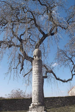 Tombe de Jules Gigon. © Région Bourgogne-Franche-Comté, Inventaire du patrimoine