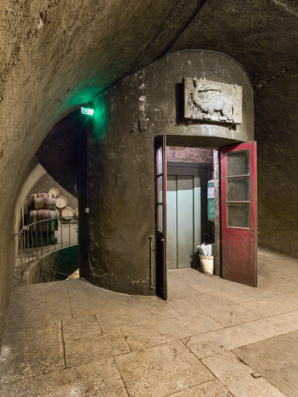 Caves, second niveau : salamandre couronnée. © Région Bourgogne-Franche-Comté, Inventaire du patrimoine
