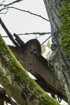 Vestiges des promenoirs d'Ernest Panz remontés sur le site de Pougues-Bellevue. © Région Bourgogne-Franche-Comté, Inventaire du patrimoine