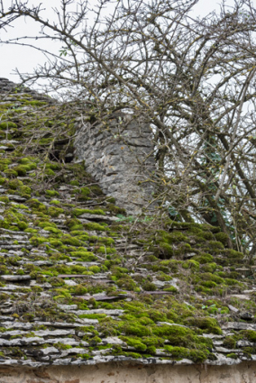 Détail de la toiture et de la souche de cheminée.  © Région Bourgogne-Franche-Comté, Inventaire du patrimoine