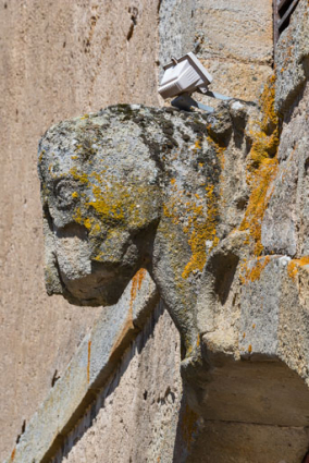Façade antérieure, travée centrale : tête de cheval sculptée. © Région Bourgogne-Franche-Comté, Inventaire du patrimoine
