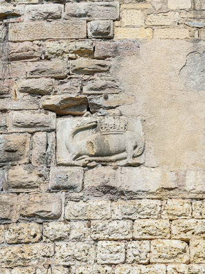 Salamandre sculptée sur la tour. © Région Bourgogne-Franche-Comté, Inventaire du patrimoine Salamandre sculptée sur la tour. © Région Bourgogne-Franche-Comté, Inventaire du patrimoine