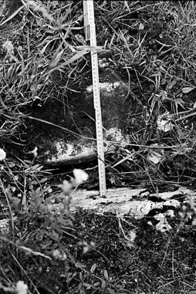 Vue d'une ornière. © Région Bourgogne-Franche-Comté, Inventaire du patrimoine