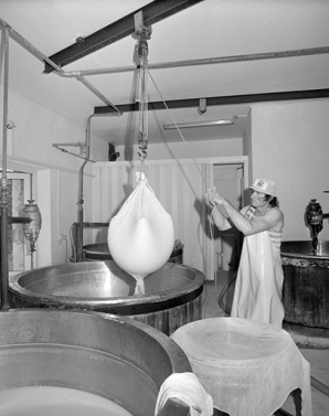 Tirage à la toile : la toile pleine de caillé est hissée hors de la chaudière. © Région Bourgogne-Franche-Comté, Inventaire du patrimoine