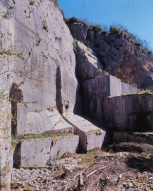 Carrière, partie nord : front de taille depuis l'intérieur de la fosse. © Région Bourgogne-Franche-Comté, Inventaire du patrimoine