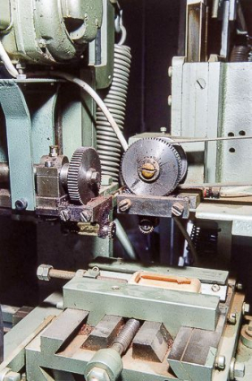 Détail des fraises. © Région Bourgogne-Franche-Comté, Inventaire du patrimoine