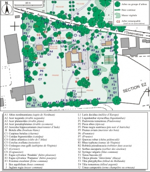 Plan de détail de la partie sud, avec identification des arbres. © Région Bourgogne-Franche-Comté, Inventaire du patrimoine