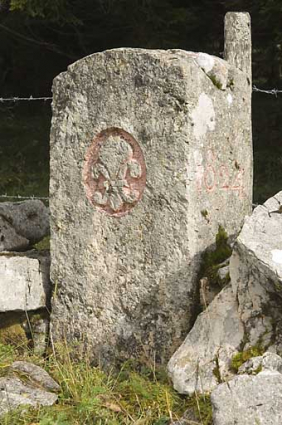 Borne n° 42 : fleur de lys côté France. © Région Bourgogne-Franche-Comté, Inventaire du patrimoine