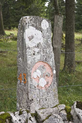 Borne n° 43 : fleur de lys côté France. © Région Bourgogne-Franche-Comté, Inventaire du patrimoine