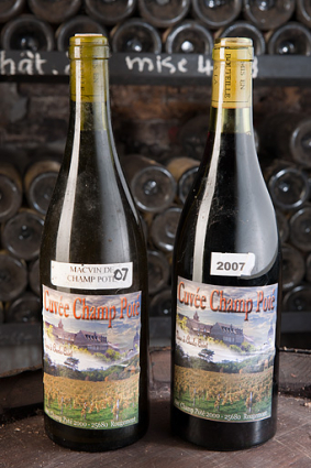 Production de la vigne de Champôté, 2007. © Région Bourgogne-Franche-Comté, Inventaire du patrimoine