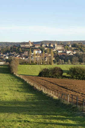 Vue générale de la ville, depuis le nord-ouest (cadrage vertical). © Région Bourgogne-Franche-Comté, Inventaire du patrimoine