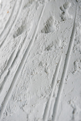 Détail de surface. © Région Bourgogne-Franche-Comté, Inventaire du patrimoine Détail de surface. © Région Bourgogne-Franche-Comté, Inventaire du patrimoine