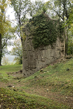  La tour ouest : vue rapprochée du sud.  © Région Bourgogne-Franche-Comté, Inventaire du patrimoine