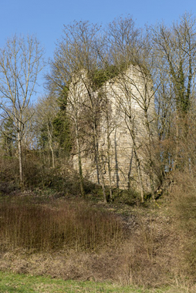 Tour nord en ruine. © Région Bourgogne-Franche-Comté, Inventaire du patrimoine