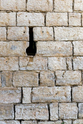 Détail d'une meurtrière de la tour, le long du mur d'enceinte de la basse-cour © Région Bourgogne-Franche-Comté, Inventaire du patrimoine Détail d'une meurtrière de la tour, le long du mur d'enceinte de la basse-cour © Région Bourgogne-Franche-Comté, Inventaire du patrimoine