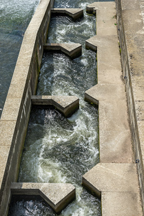 La passe à poisson. © Région Bourgogne-Franche-Comté, Inventaire du patrimoine