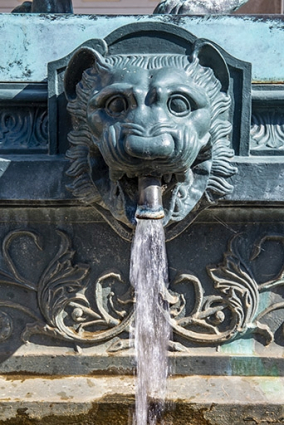 Détail du protomé de lion en eau. © Région Bourgogne-Franche-Comté, Inventaire du patrimoine