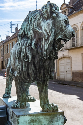 Trois quarts gauche du lion. © Région Bourgogne-Franche-Comté, Inventaire du patrimoine