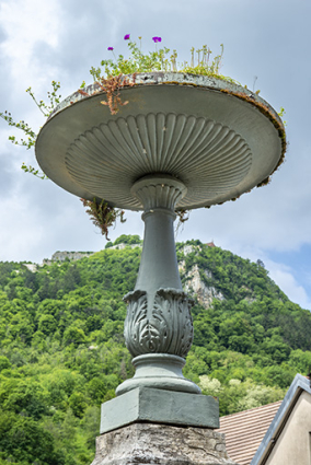 Détail de la vasque. © Région Bourgogne-Franche-Comté, Inventaire du patrimoine