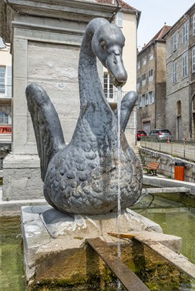 Détail d'un cygne. © Région Bourgogne-Franche-Comté, Inventaire du patrimoine