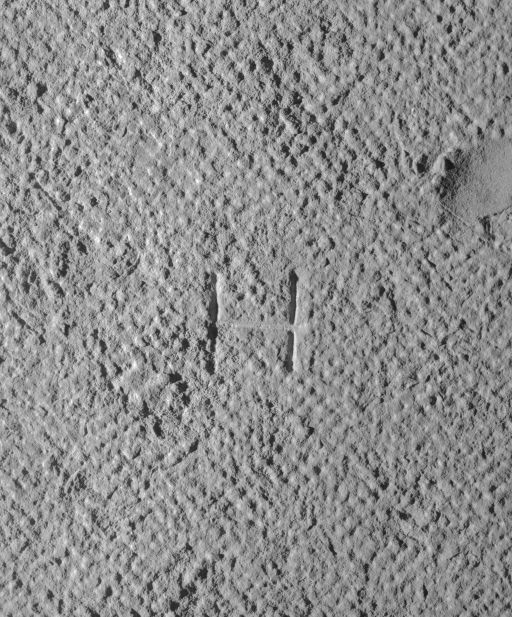 Ancienne salle Notre-Dame : signe lapidaire. © Michel Rosso / Région Bourgogne-Franche-Comté, Inventaire du patrimoine - 1990